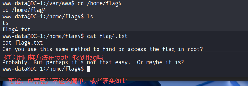 image-20260331134641639