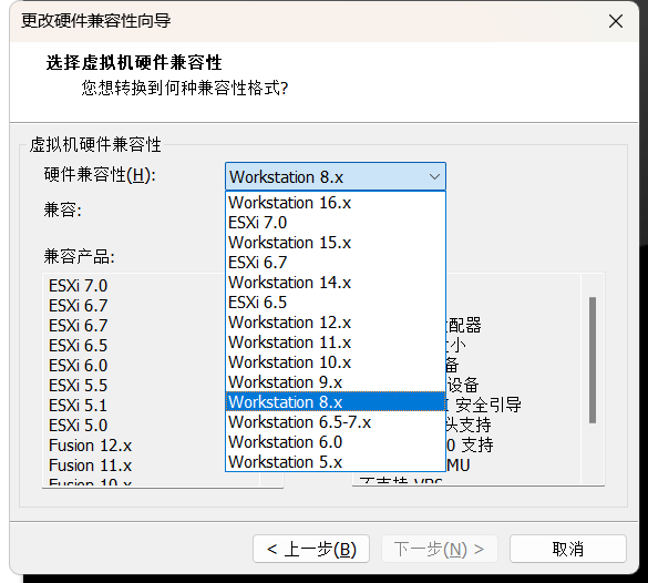 选择VMware版本