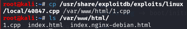 image-20260525091713883