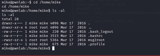 image-20260425143117402